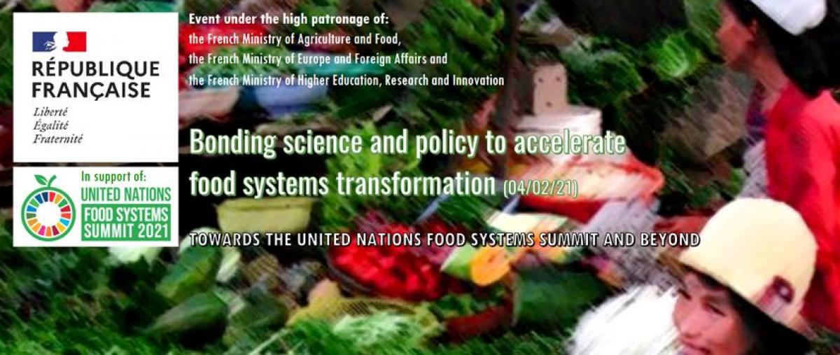 Bonding science and policy to accelerate food systems transformation